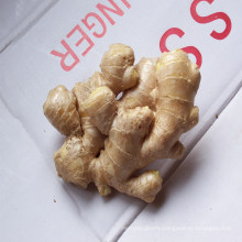 Healthy Fresh Ginger High Quality Brc From China